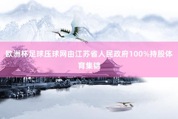 欧洲杯足球压球网由江苏省人民政府100%持股体育集锦