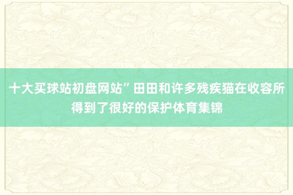 十大买球站初盘网站”田田和许多残疾猫在收容所得到了很好的保护体育集锦