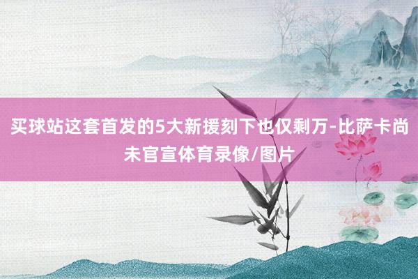 买球站这套首发的5大新援刻下也仅剩万-比萨卡尚未官宣体育录像/图片