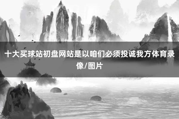 十大买球站初盘网站是以咱们必须投诚我方体育录像/图片