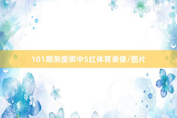 101期测度掷中5红体育录像/图片