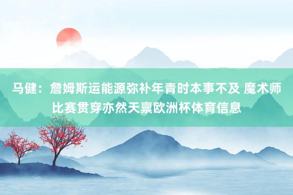 马健：詹姆斯运能源弥补年青时本事不及 魔术师比赛贯穿亦然天禀欧洲杯体育信息