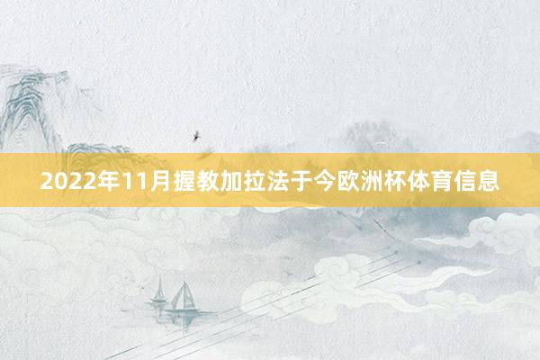 2022年11月握教加拉法于今欧洲杯体育信息