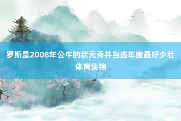 罗斯是2008年公牛的状元秀并当选年度最好少壮体育集锦