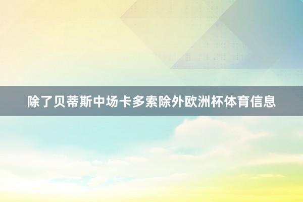 除了贝蒂斯中场卡多索除外欧洲杯体育信息