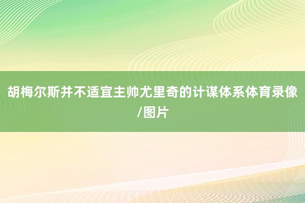 胡梅尔斯并不适宜主帅尤里奇的计谋体系体育录像/图片